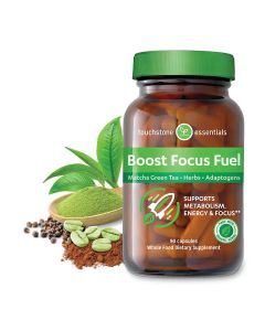 Boost Focus Fuel - Touchstone Essentials