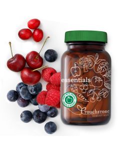 Essentials - Touchstone Essentials