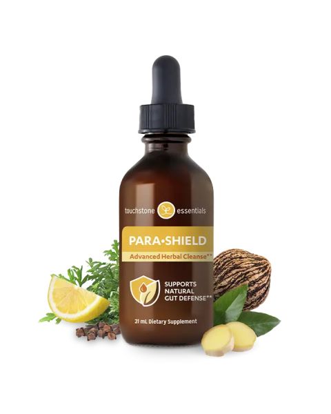 Para-Shiield, Touchstone Essentials