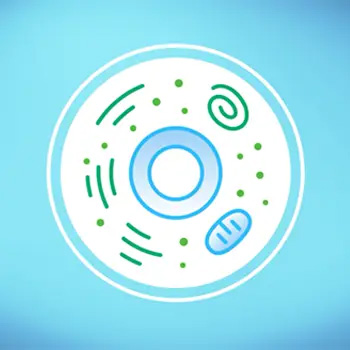 telomerase activation supports the health of your cells