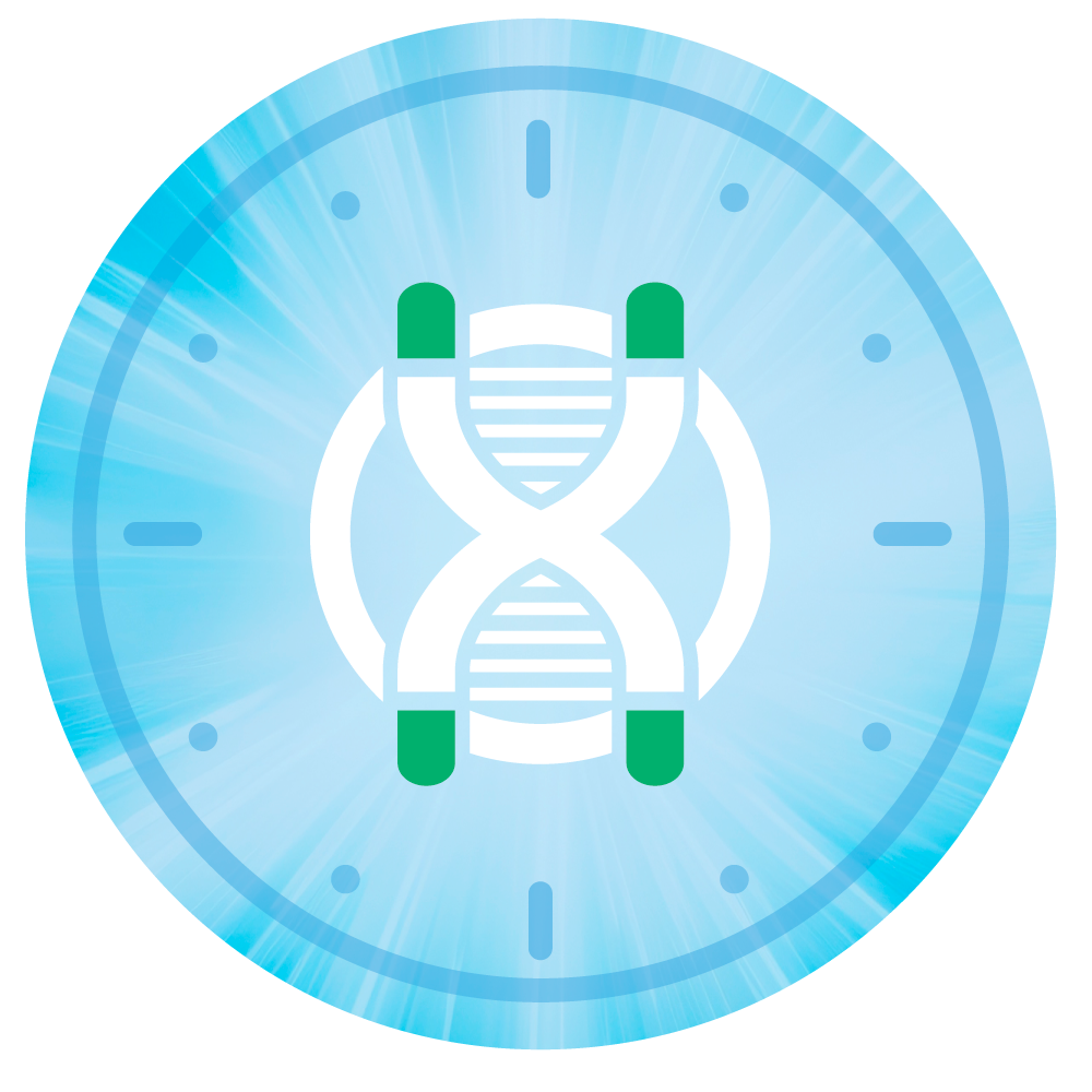 Telomeres, Our Body Biological Clock