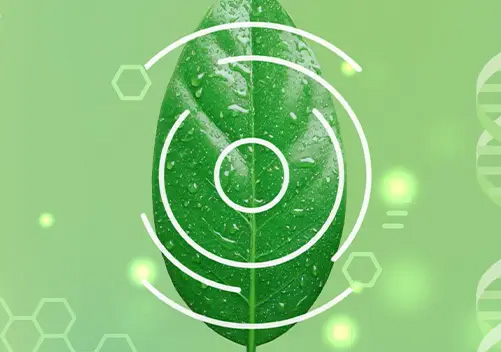 Telo Vital Powered by Nature width=