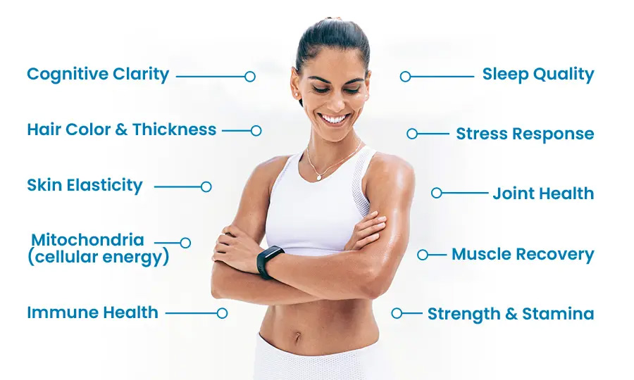 Telomeres, Whole Body Health